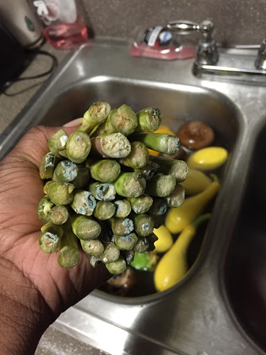 Grocery Store «Little Giant Farmers Market», reviews and photos, 7535 GA-85, Riverdale, GA 30274, USA