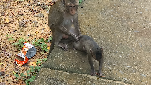 Top 20 cửa hàng play Huyện Cần Giờ Hồ Chí Minh 2022