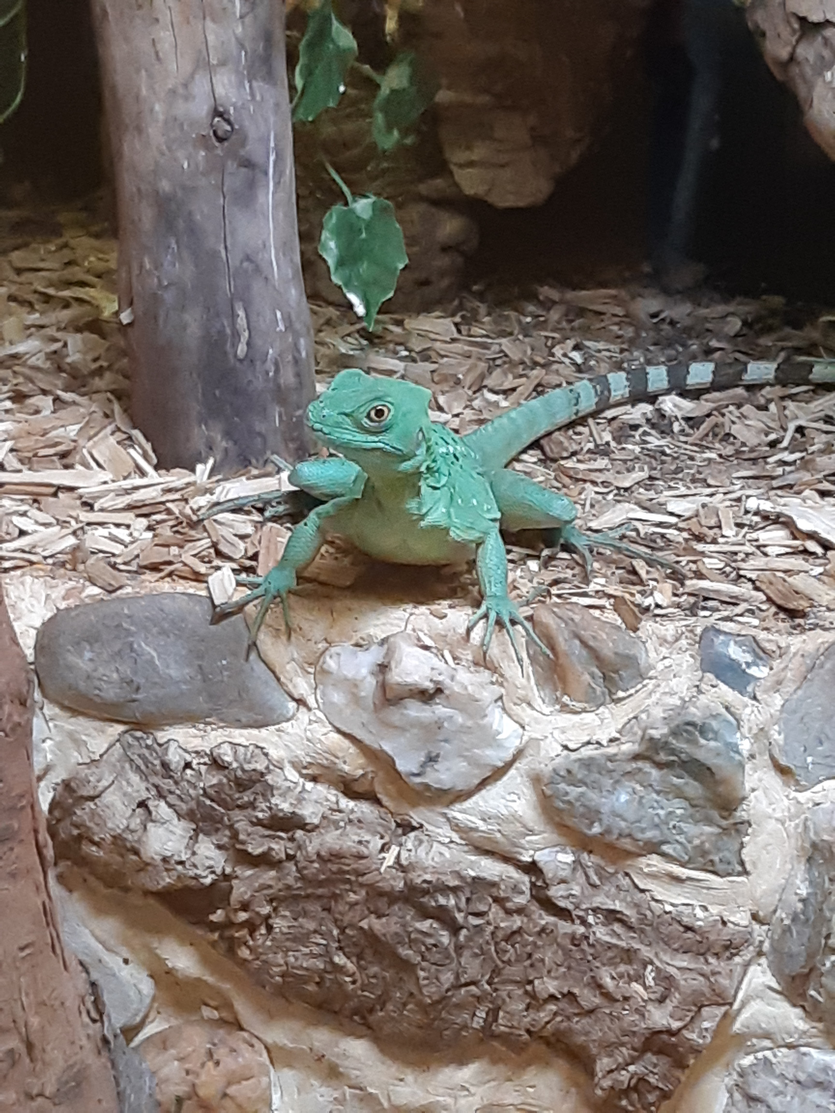 Photo n° 3 de l'avis de lisa-marie.e fait le 10/06/2019 à 20:06