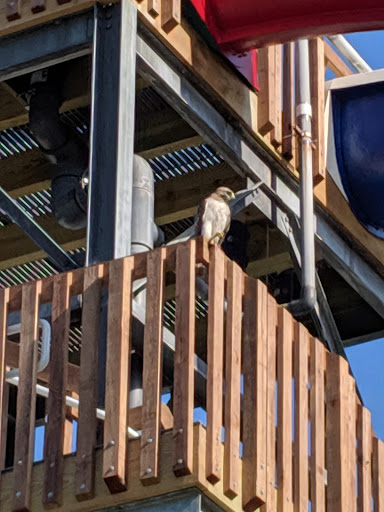 Water Park «Cascade Bay Water Park», reviews and photos, 1360 Civic Center Dr, Eagan, MN 55122, USA