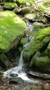 Painter Run Trail