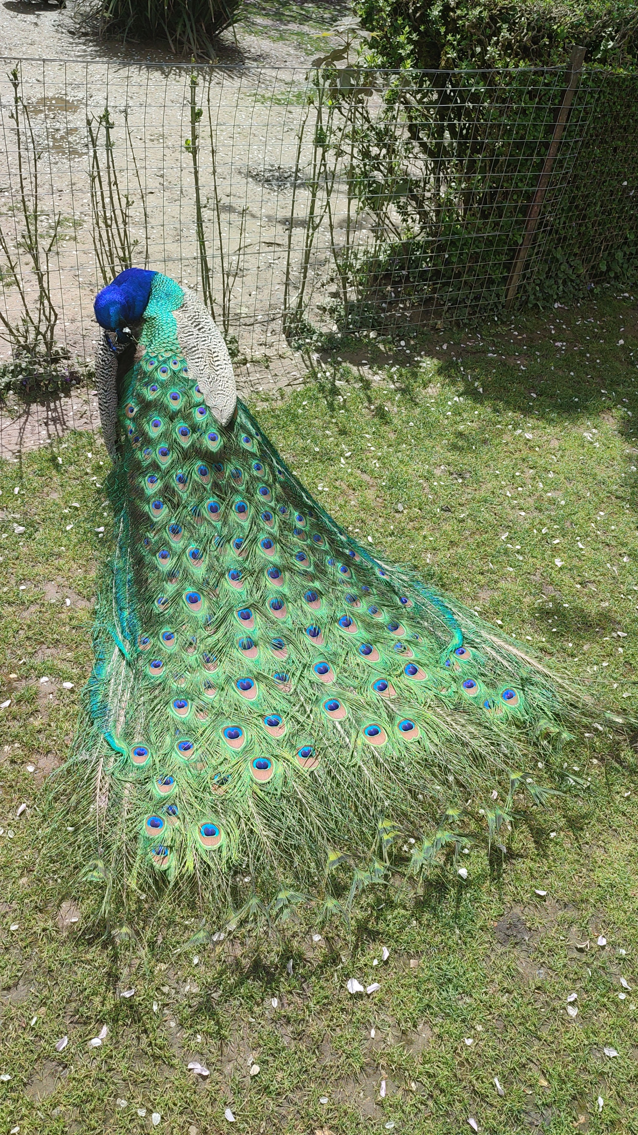 Photo n° 1 de l'avis de Hélène.e fait le 17/05/2023 à 12:11