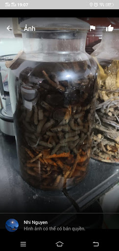 Top 20 khách sạn mới Huyện Bù Gia Mập Bình Phước 2022