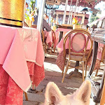 Photo n°1 de l'avis de Anja..o fait le 22/11/2023 à 10:24 sur le  Ristorante Canal Grande à Venice