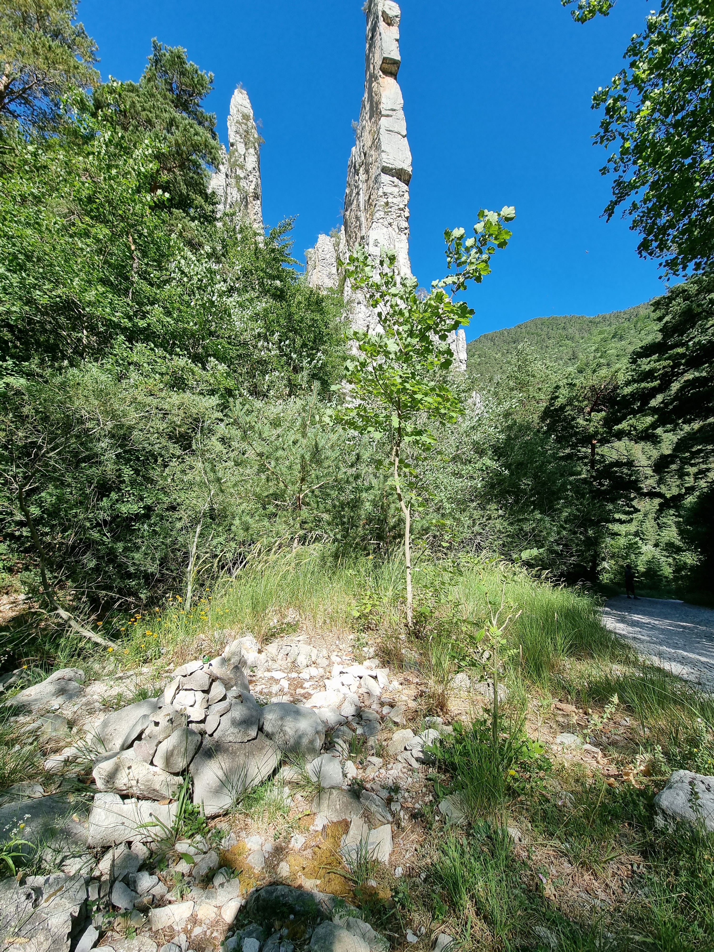 Photo n° 35 de l'avis de Viktória.i fait le 16/07/2022 à 13:58