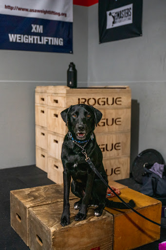 Gym «CrossFit Xtra Mile», reviews and photos, 776 Merus Ct, Fenton, MO 63026, USA