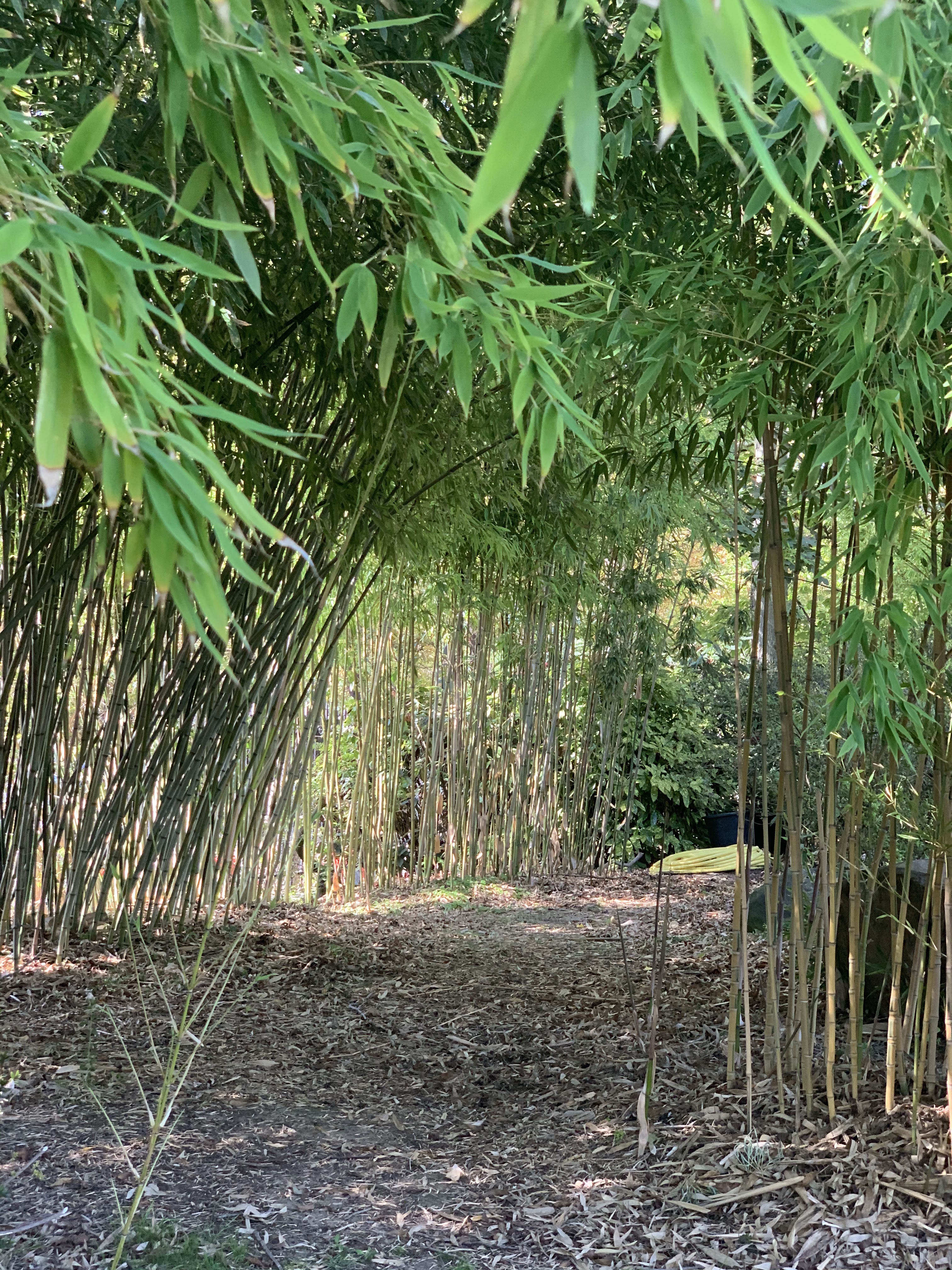 Photo n° 2 de l'avis de Yves.e fait le 23/08/2019 à 11:11