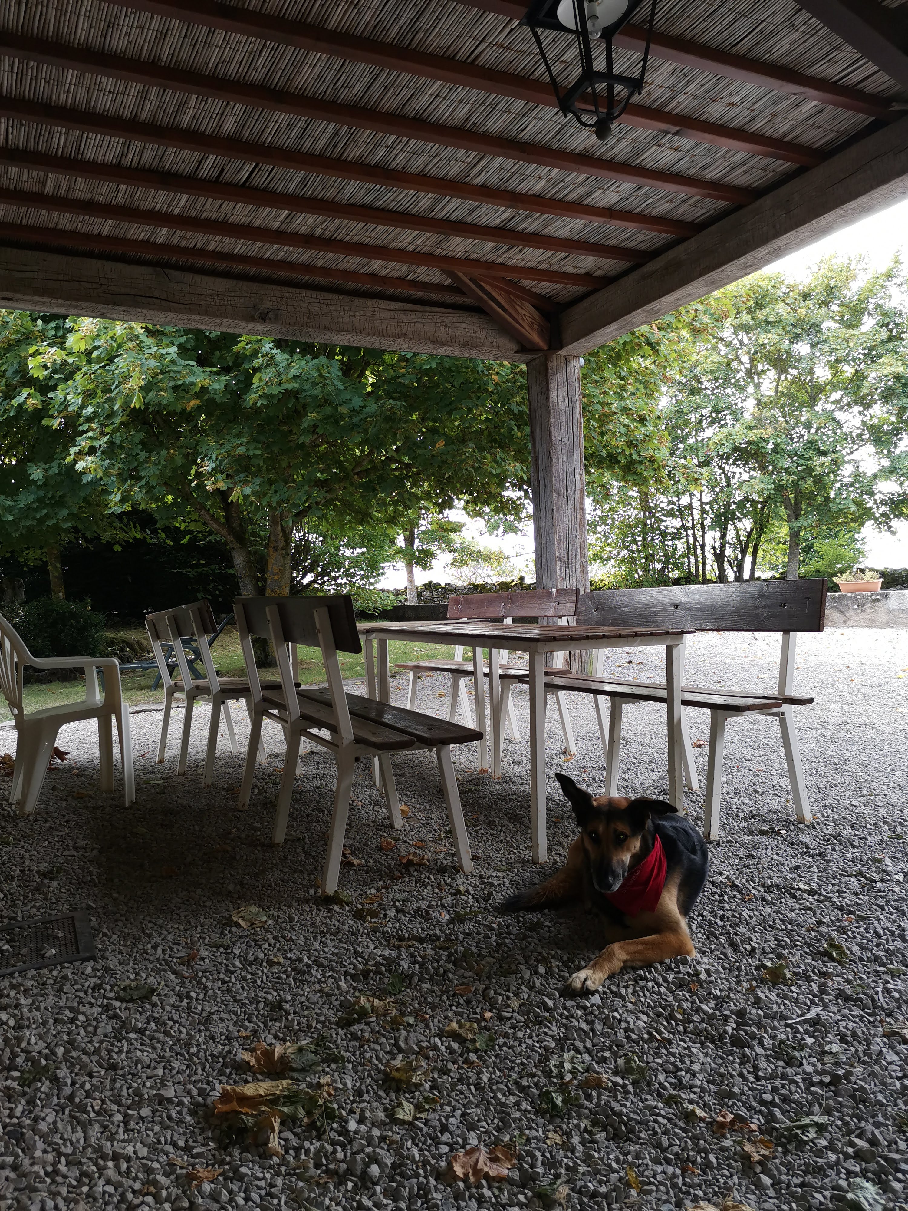 Photo n° 3 de l'avis de Françoise.a fait le 24/09/2020 à 05:06