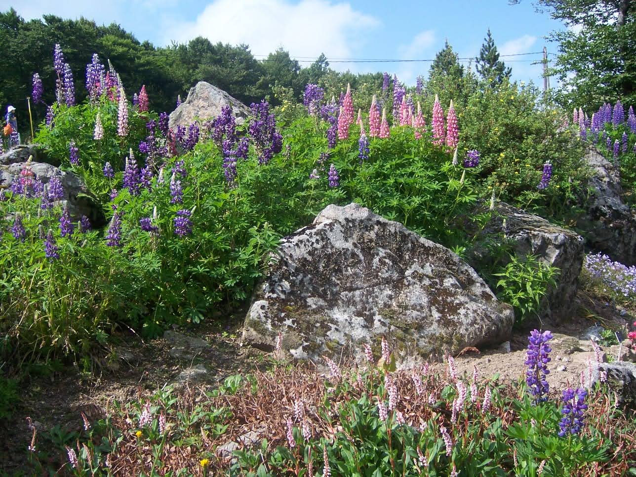 Photo n° 12 de l'avis de Christiane.e fait le 15/06/2021 à 17:16