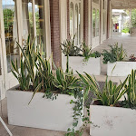 Photo n°2 de l'avis de Brunella.a fait le 17/10/2021 à 13:19 sur le  Ristorante da Martino à Pavullo nel Frignano