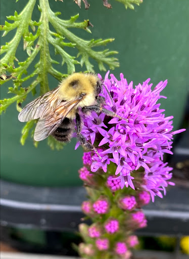 Home Improvement Store «The Home Depot», reviews and photos, 899 County St, Taunton, MA 02780, USA