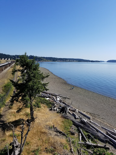 Public Golf Course «Chambers Bay», reviews and photos, 6320 Grandview Dr W, University Place, WA 98467, USA