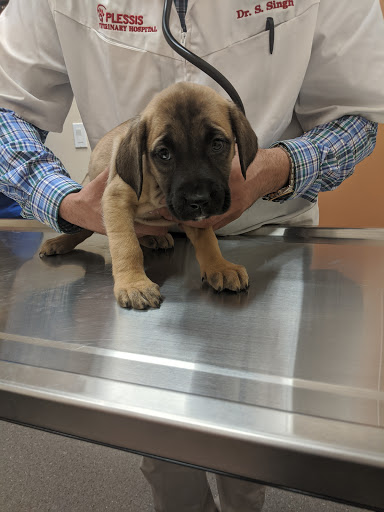 Plessis Veterinary Hospital