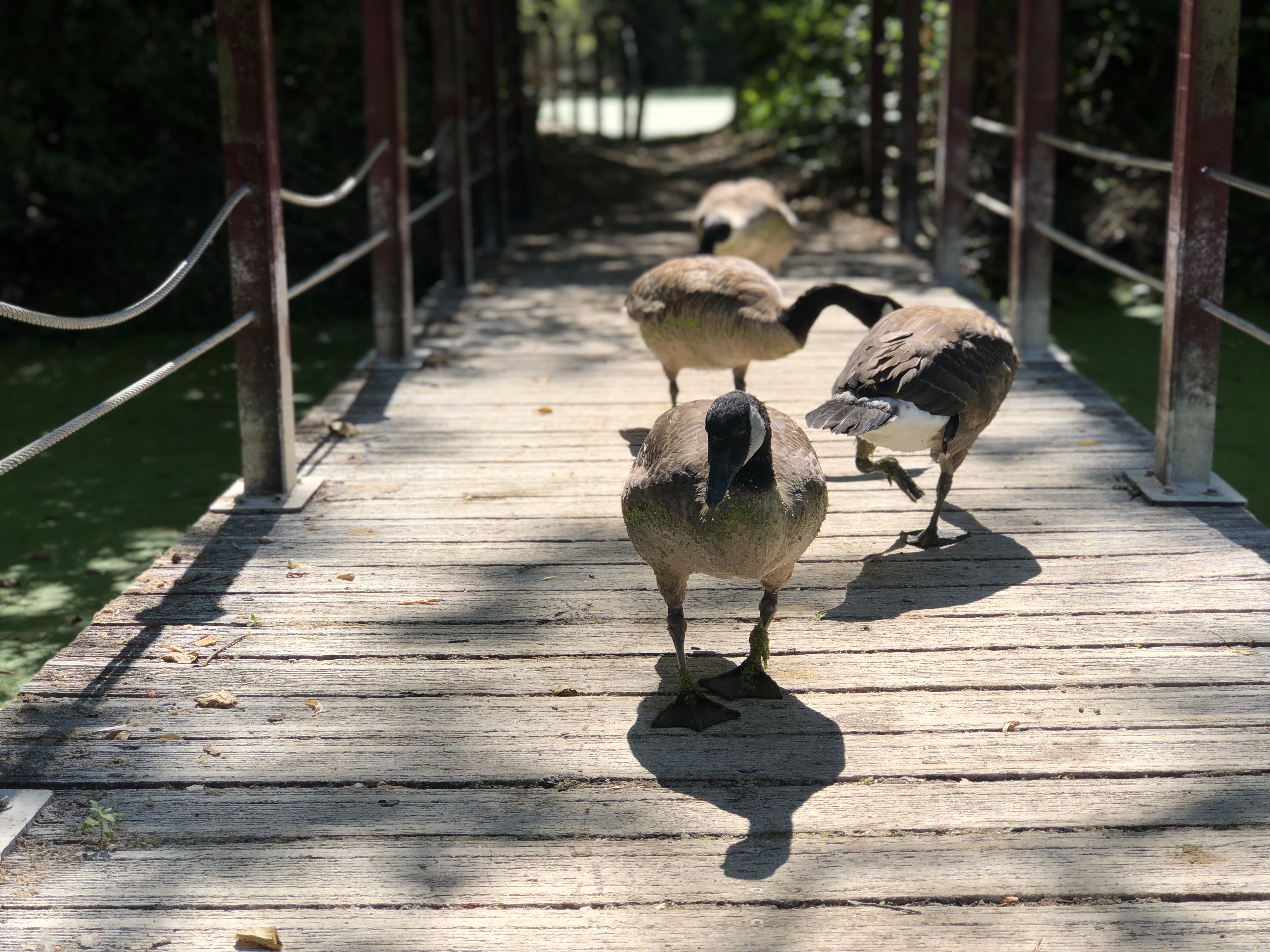 Photo n° 2 de l'avis de Anne. fait le 17/08/2018 à 08:17