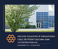 DeLuxe Cleaning and Organizing, LLC - Photo 9 - Car repair in , Boston