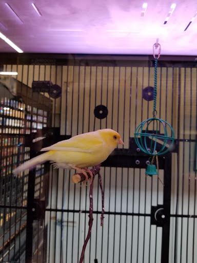 Pet Supply Store «PetSmart», reviews and photos, 830 Pelham Pkwy, Pelham, NY 10803, USA