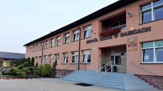 Szkoła Podstawowa w Babicach Zamkowa 3, 32-551 Babice, Polska