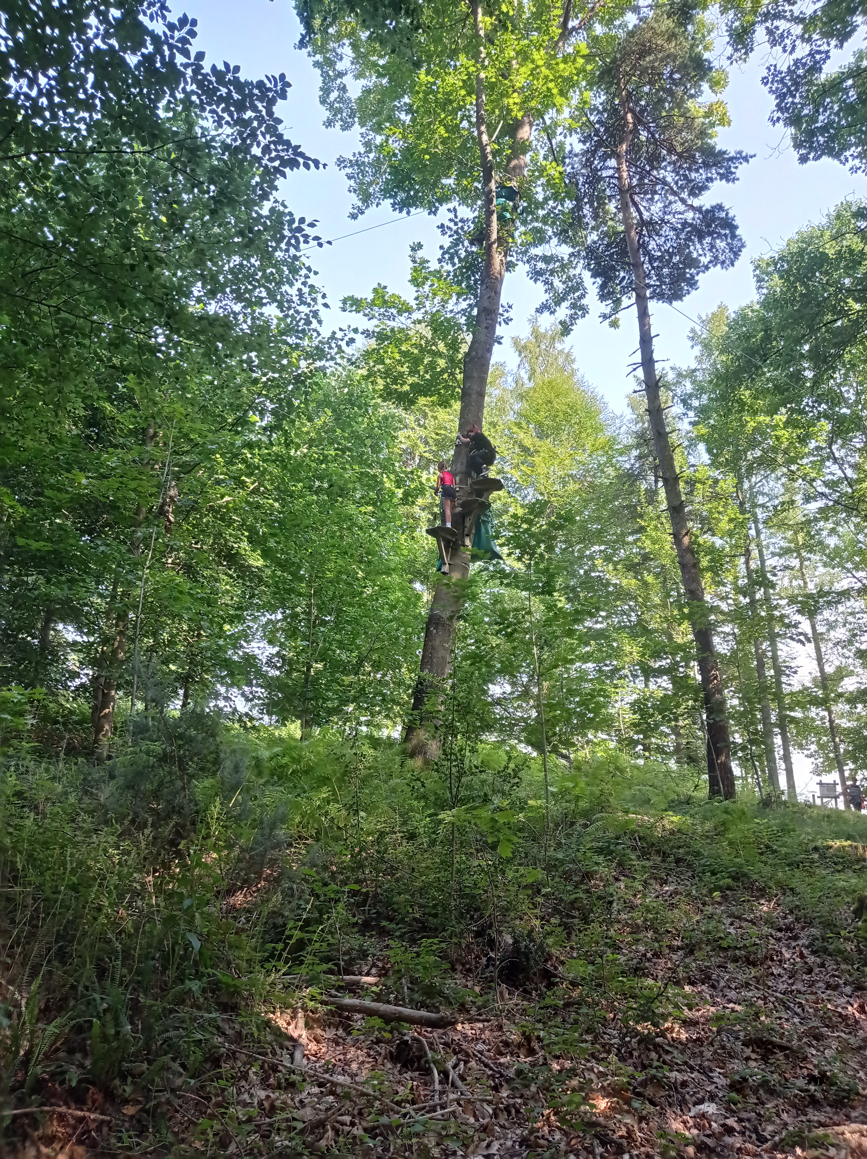 Photo n° 4 de l'avis de Sylvie.h fait le 22/07/2021 à 17:12