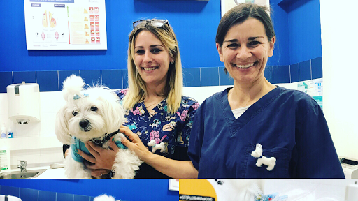 Centro Veterinario Equus Can en Marbella