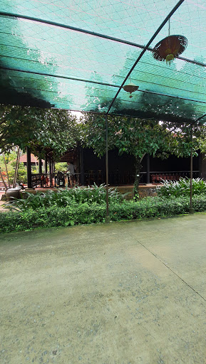 Top 14 cửa hàng sữa nestle Huyện Khánh Vĩnh Khánh Hòa 2022