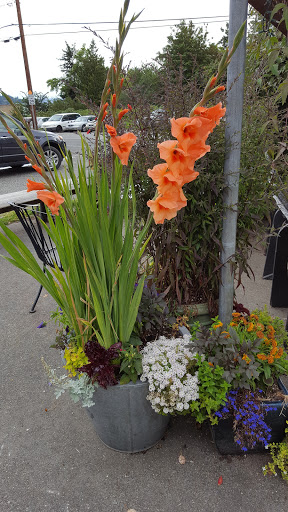 Coffee Shop «Burton Coffee Stand», reviews and photos, 23908 Vashon Hwy SW, Vashon, WA 98070, USA