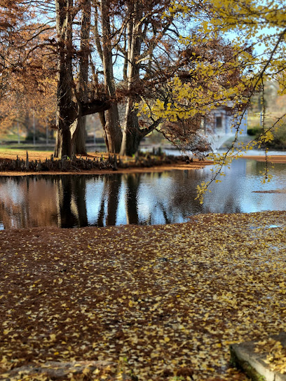 Cedar Lake