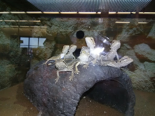 Pet Supply Store «Petco Animal Supplies», reviews and photos, 3380 124th Ave NW, Coon Rapids, MN 55433, USA