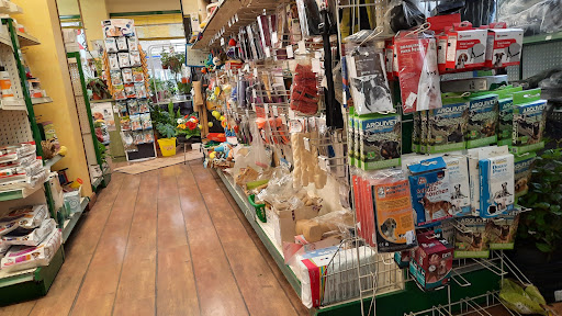 Fuentes Palencia SL - Palencia