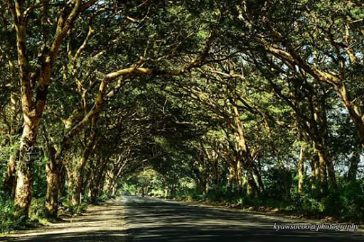 Animal Shelter «Oregon Humane Society», reviews and photos