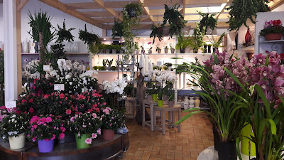 Gilbert Fleurs à Niort