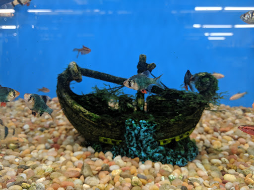 Pet Supply Store «Pet Supplies Plus», reviews and photos, 1240 Seminole Trail, Charlottesville, VA 22901, USA