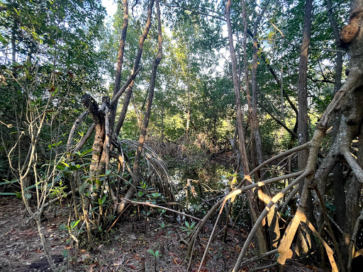 Park «Greynolds Park», reviews and photos, 17530 W Dixie Hwy, North Miami Beach, FL 33160, USA