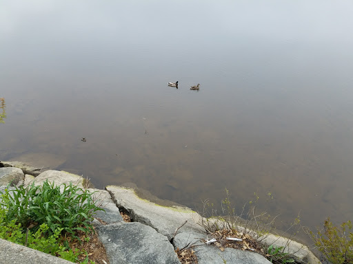State Park «Lowell Heritage State Park», reviews and photos, 160 Pawtucket Blvd, Lowell, MA 01854, USA
