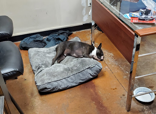 Auto Body Shop «LMC Complete Automotive & Collision Repair», reviews and photos, 23018 Aldine Westfield Rd, Spring, TX 77373, USA