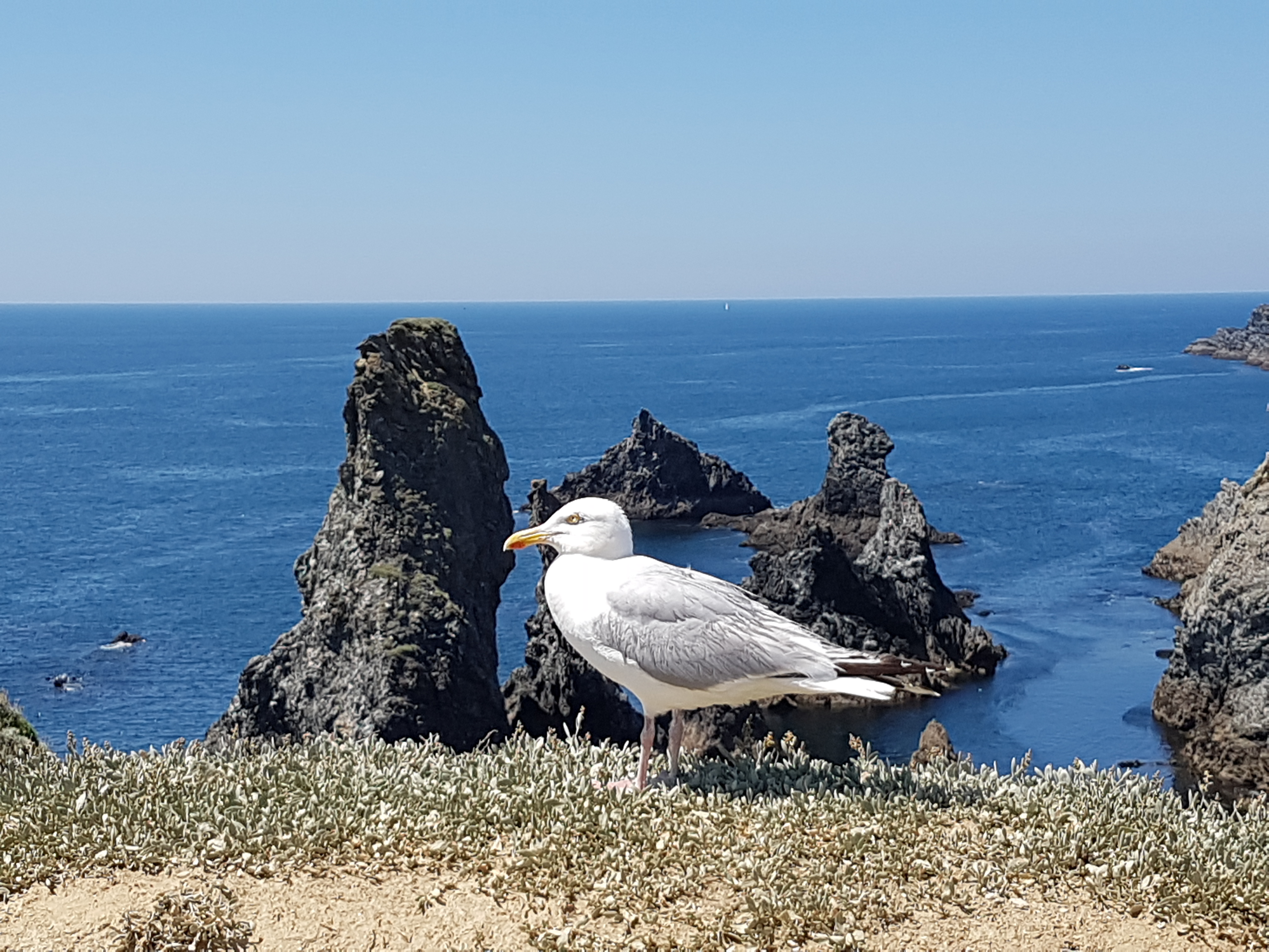 Photo n° 4 de l'avis de Guillaume. fait le 18/07/2018 à 07:30