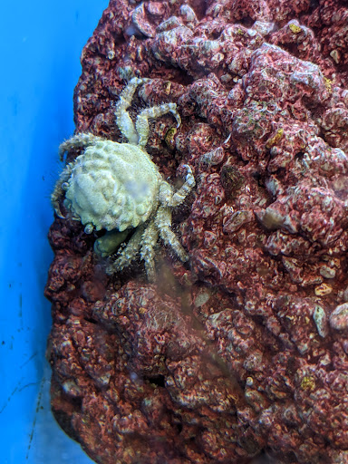 Pet Supply Store «Petco Animal Supplies», reviews and photos, 2640 W University Dr #1280, Denton, TX 76201, USA