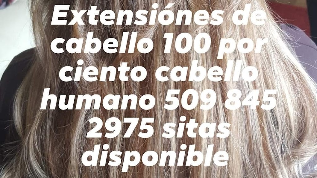 La michoacana salon 99301