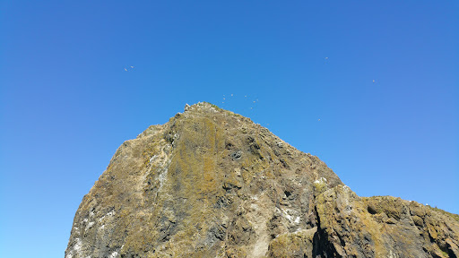 Tourist Attraction «Haystack Rock», reviews and photos, US-101, Cannon Beach, OR 97110, USA