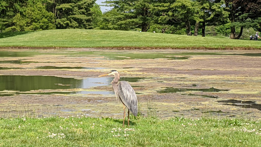 Golf Course «Hominy Hill Golf Course», reviews and photos, 92 Mercer Rd, Colts Neck, NJ 07722, USA