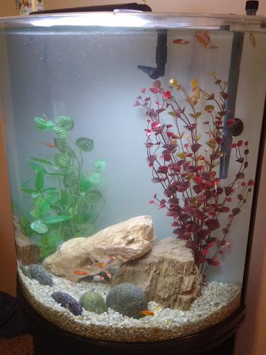 Tropical Fish Store «Aquarium Boutique», reviews and photos, 9035 Garland Rd, Dallas, TX 75218, USA