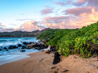 Aloha Hawaiian Vacations