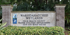 Wakodahatchee Wetlands