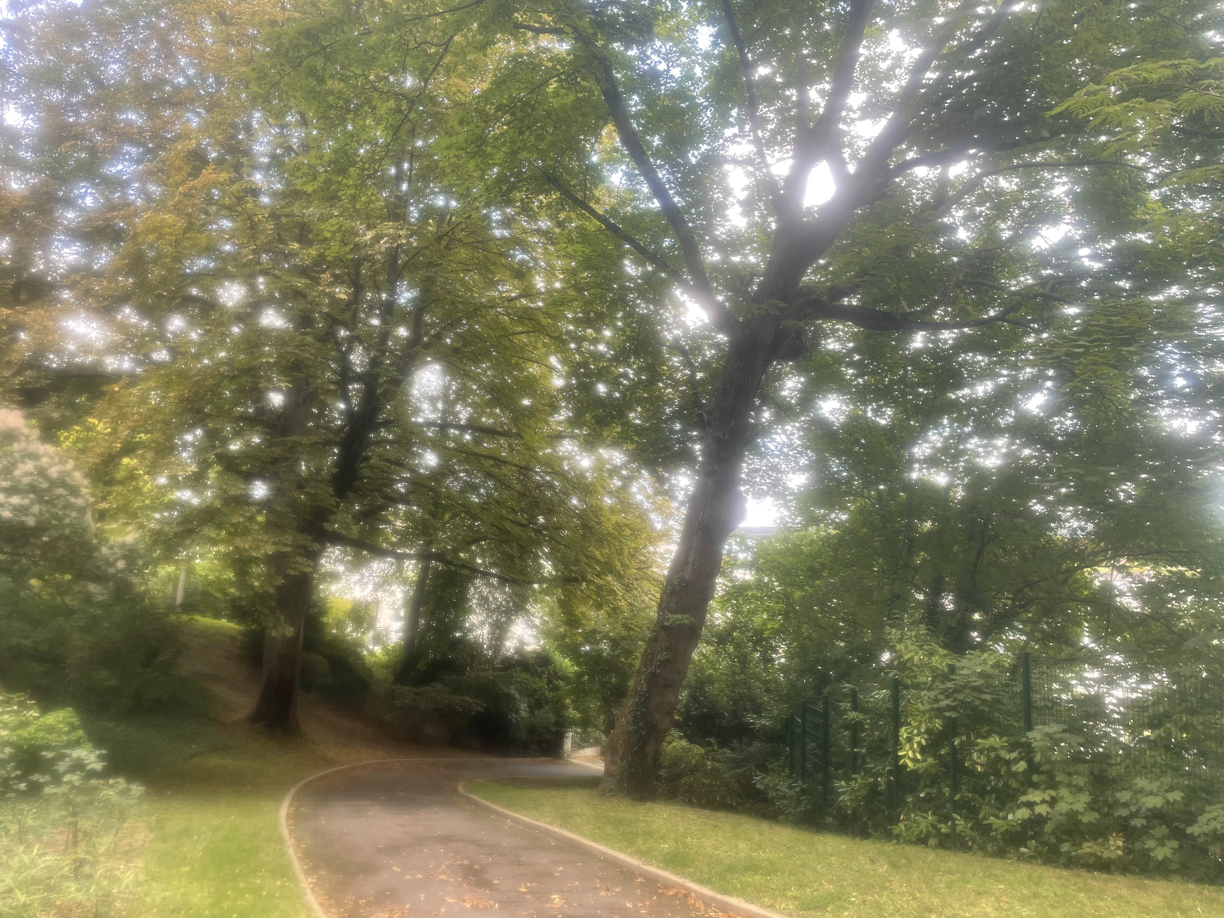 Photo n° 3 de l'avis de Gh.a fait le 15/08/2021 à 21:03