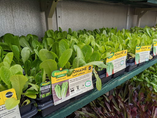 Home Improvement Store «The Home Depot», reviews and photos, 11075 Tara Blvd, Lovejoy, GA 30250, USA