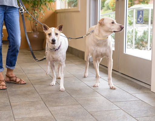 Muller Veterinary Hospital image
