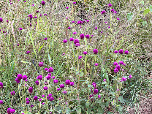 Farm «Oak Hill Farm», reviews and photos, 15101 CA-12, Glen Ellen, CA 95442, USA