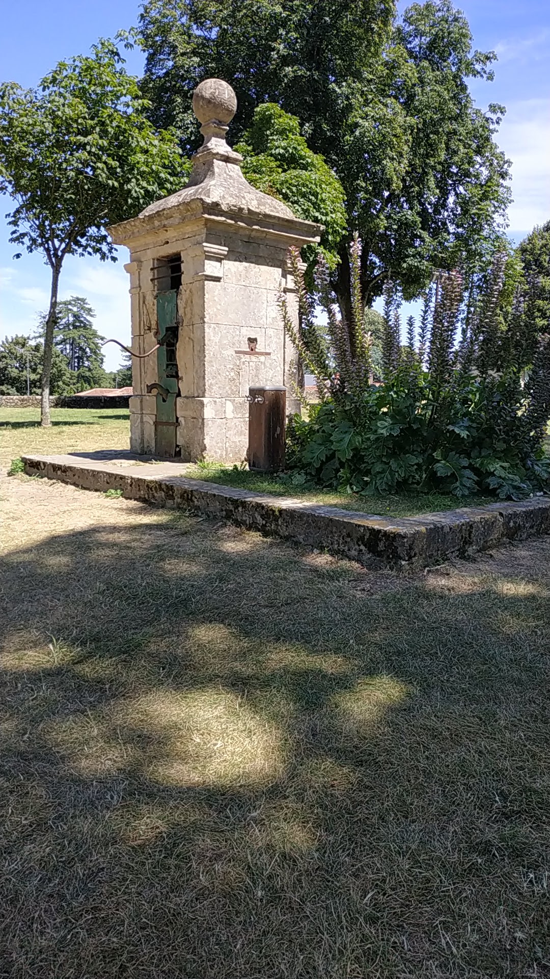 Photo n° 2 de l'avis de DomyG.i fait le 19/07/2020 à 13:17