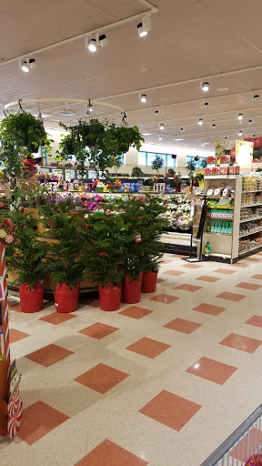 Grocery Store «Market Basket», reviews and photos, 8 Highland Common E, Hudson, MA 01749, USA