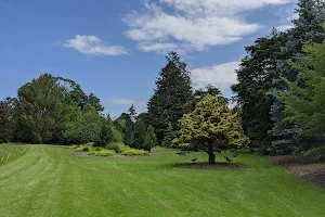 Bayard Cutting Arboretum image