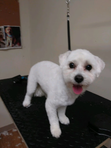 Pet Supply Store «EarthWise Pet Supply - Richardson», reviews and photos, 1310 W Campbell Rd #128, Richardson, TX 75080, USA